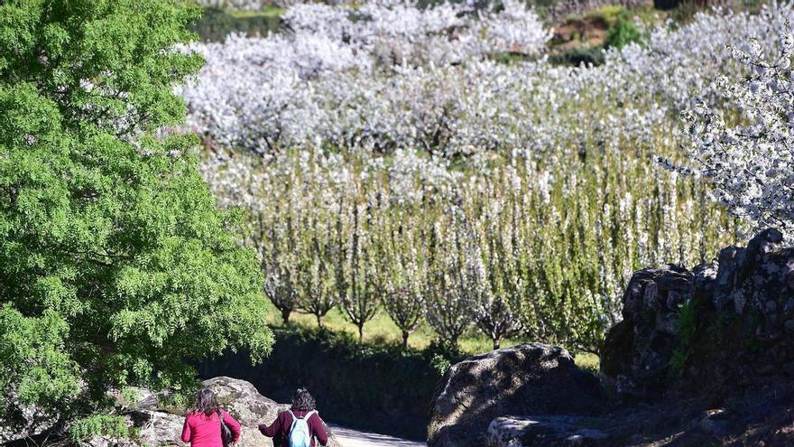 Extremadura prevé un 90% de ocupación en los días centrales de Semana Santa y afianza el tirón de la naturaleza