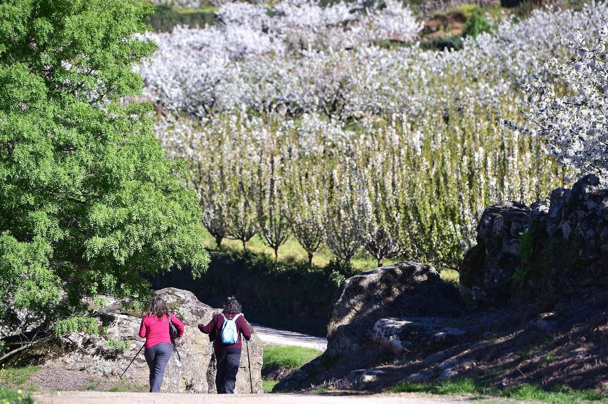 Turistas en el Valle del Jerte.