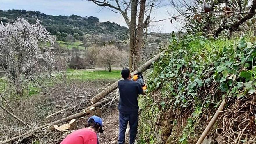 Operarios municipales realizando limpieza de fincas. | Cedida