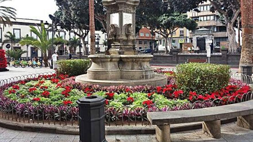 Miles de flores de Pascua tiñen de rojo la capital