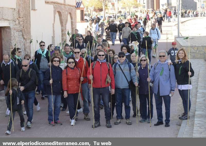 GALERÍA DE FOTOS - Romería Magdalena 2014 (3)