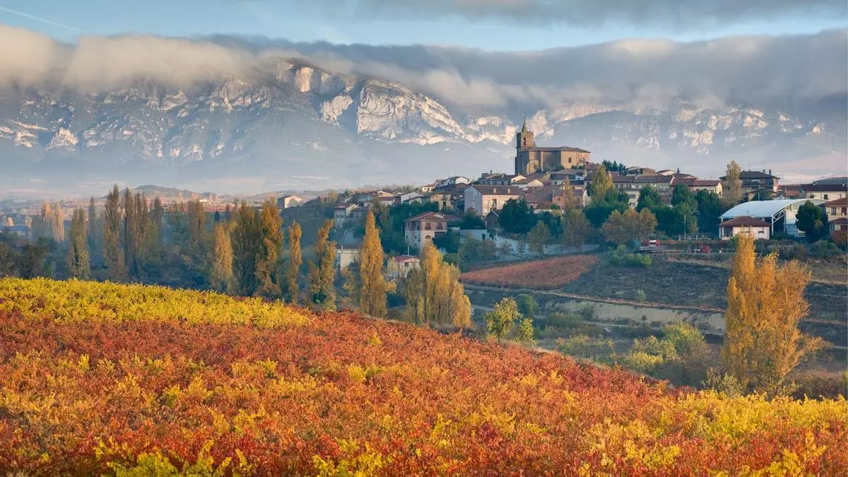 Álava, escapada a una tierra de vinos