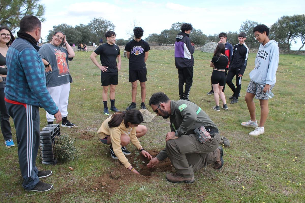 Un Agente Medioambiental ayuda a los alumnos en la plantación