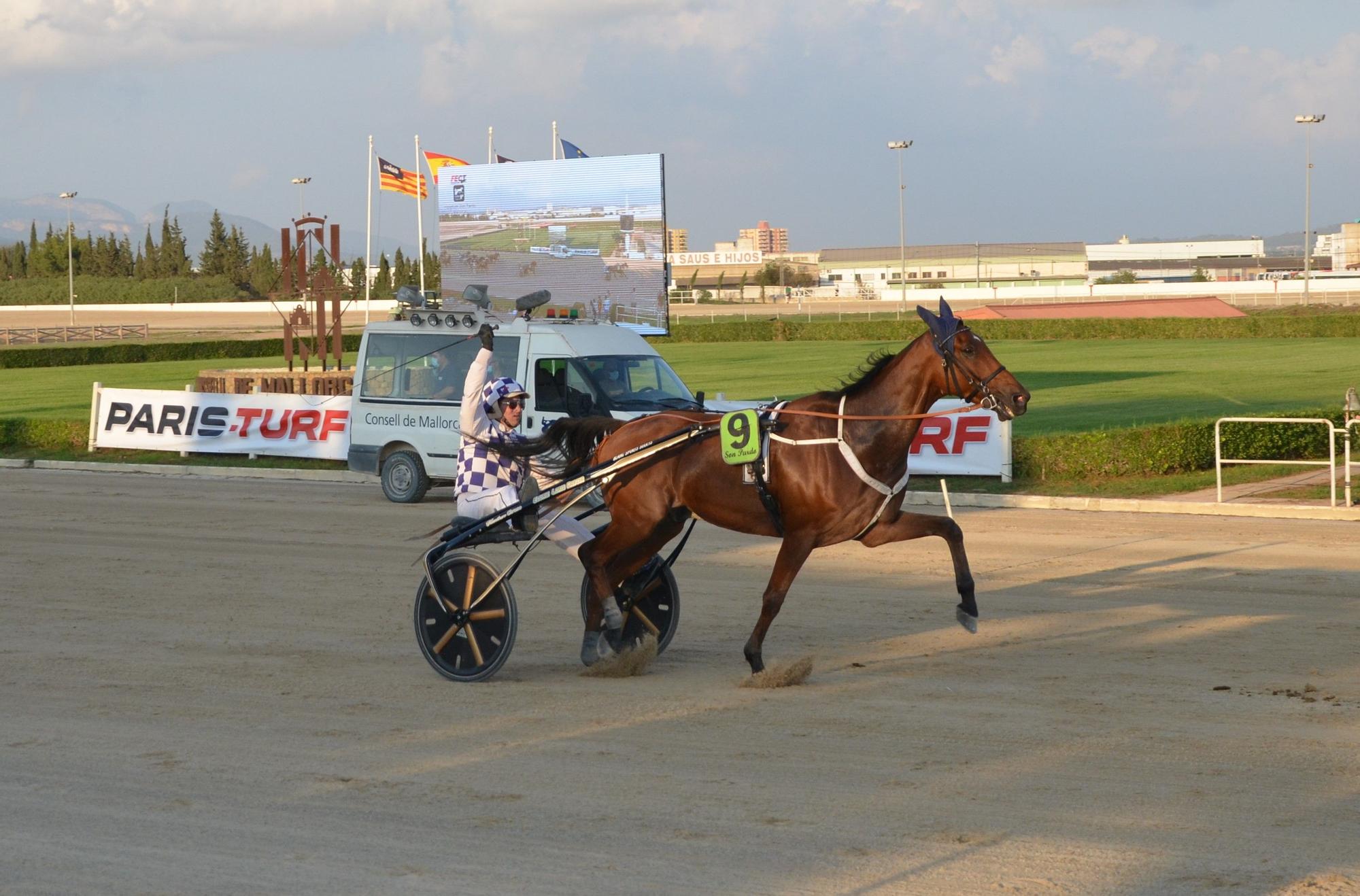 ‘Grand Prix des Baleares’ de trote en Son Pardo