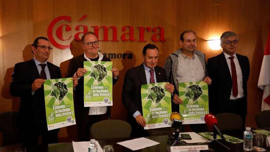 Narciso Prieto, Christoph Strieder, Manuel Vidal, Alfredo Vega y Javier Díaz.