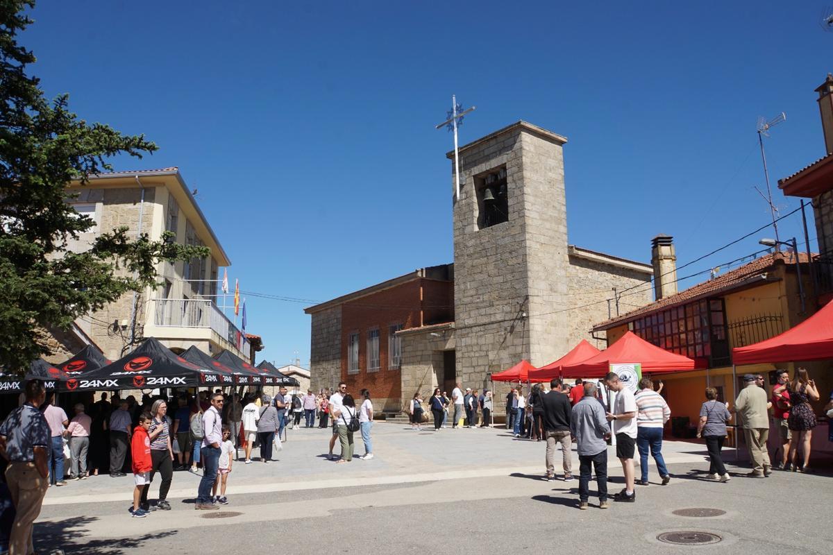 GALERÍA | Los caracoles, protagonistas de una feria en Fonfría GALERÍA | Los caracoles, protagonistas de una feria en Fonfría