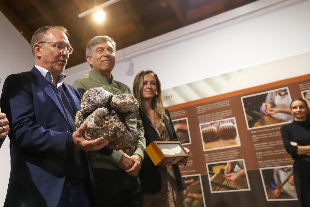 El presidente del Cabildo de La Palma, Sergio Rodríguez, sostiene este jueves la piedra de ámbar gris encontrada en el cachalote.