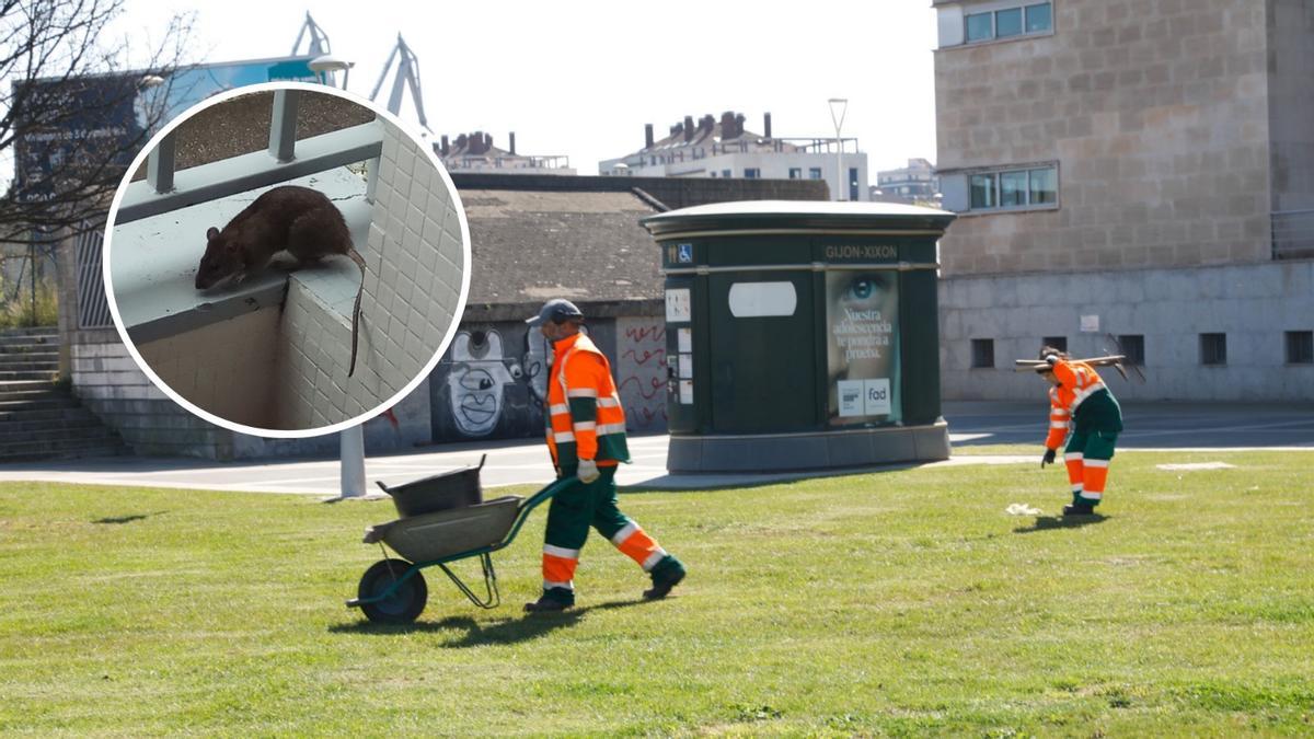 Operarios de Emulsa.