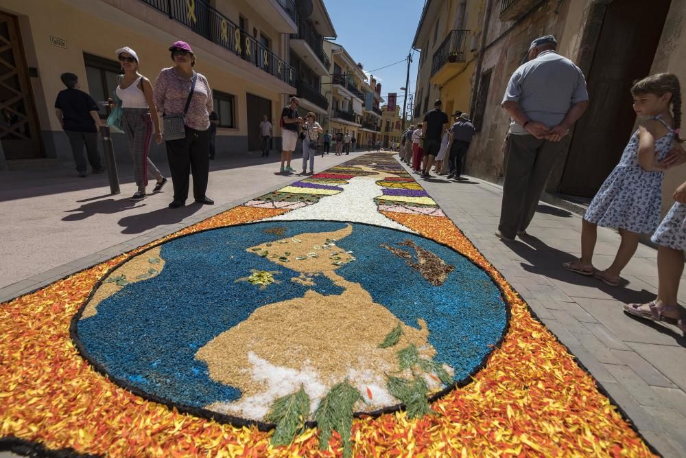 El concurs de catifes de flors naturals omple Arbúcies