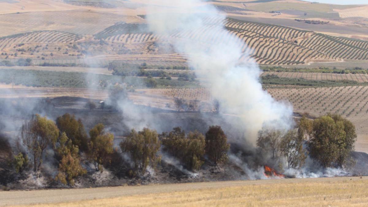 Una quema de rastrojos, en el origen del incendio junto al antiguo vertedero