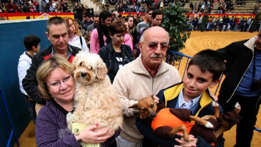 Dos perritos en brazos de sus dueños en la última edición del Porrate de San Antón.