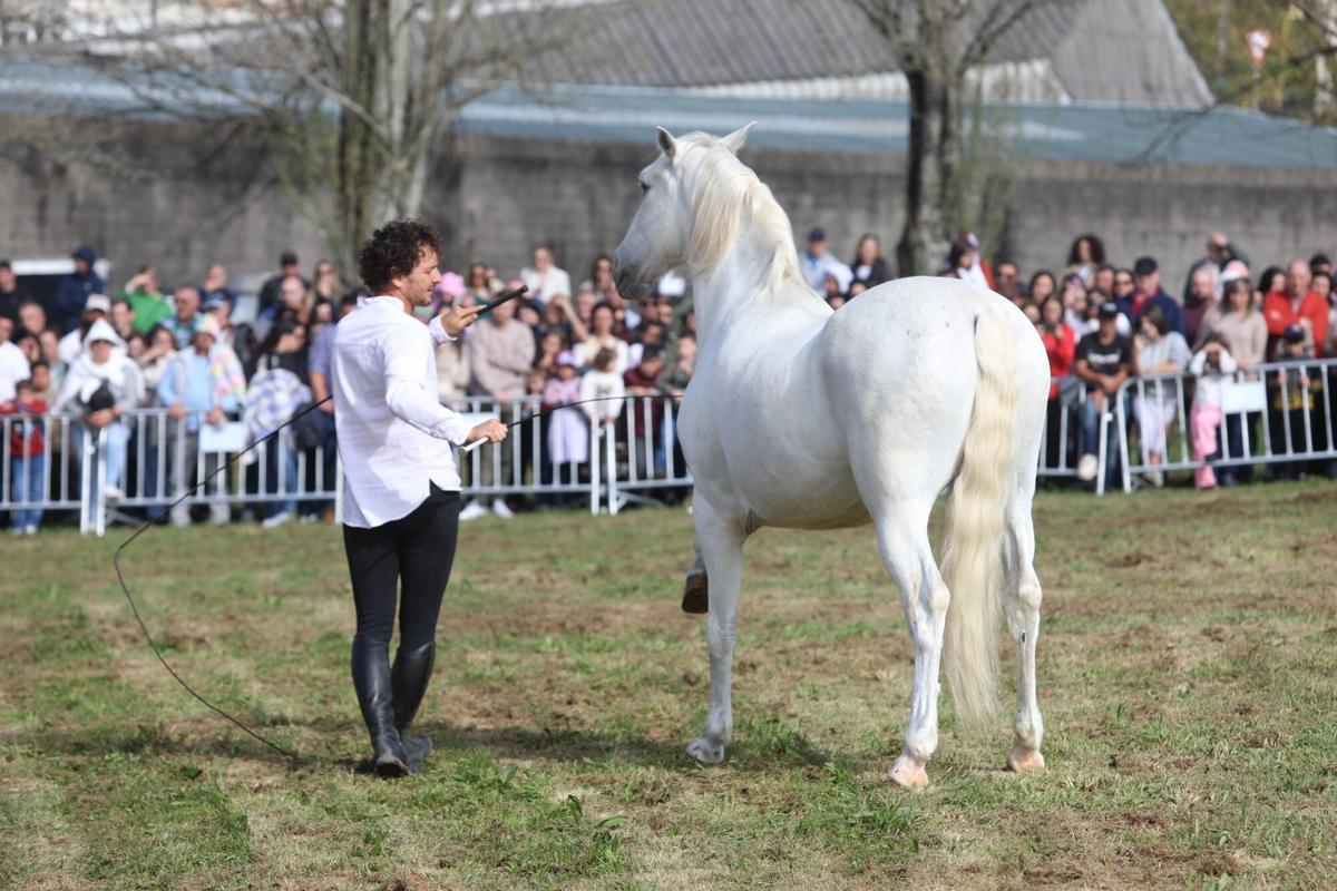 La XXXV Feira do Cabalo de Lalín cerró ayer su segunda y última jornada con una notable afluencia de público