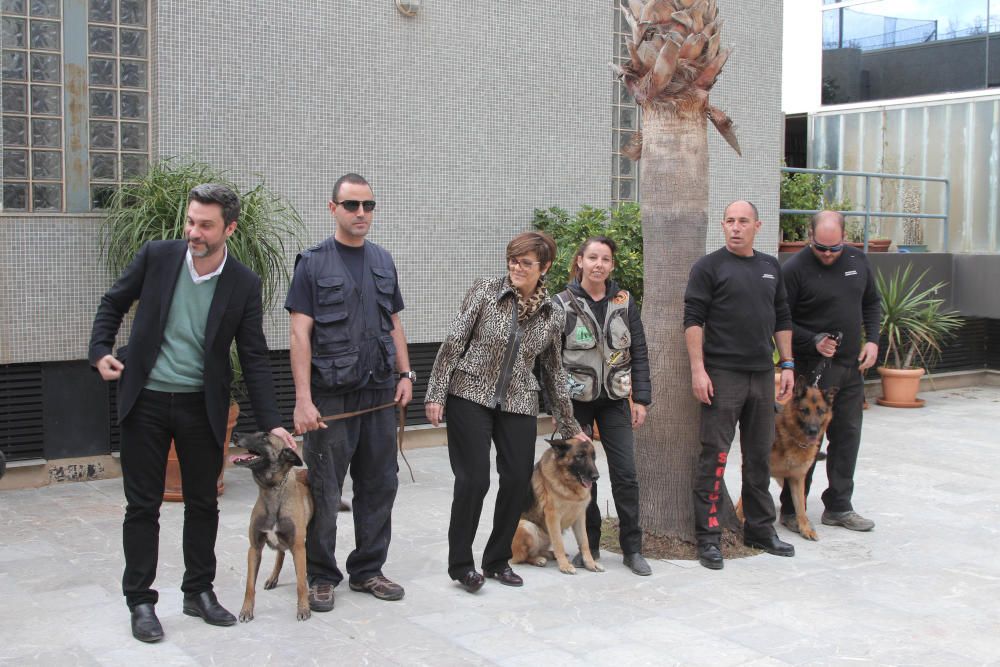 Exhibición canina en la Asamblea regional