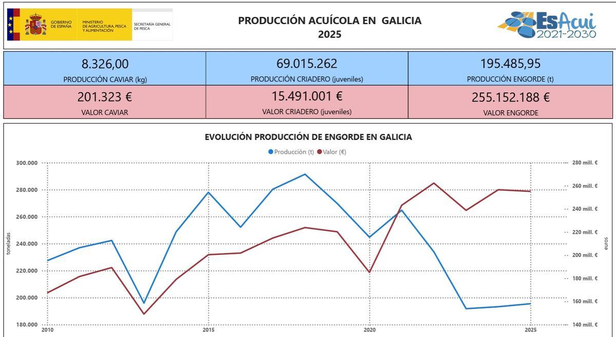 Resumen de la producción acuícola en Galicia el año pasado.