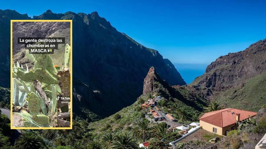 La nueva práctica de moda en un espacio protegido de Tenerife que pone en peligro su flora