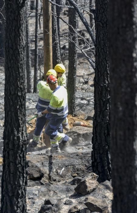 24/09/2017 CRUZ DE TEJEDA. Vuelta a la normalidad tras el incendio en la Cumbre de Gran Canaria. FOTO: J. PÉREZ CURBELO