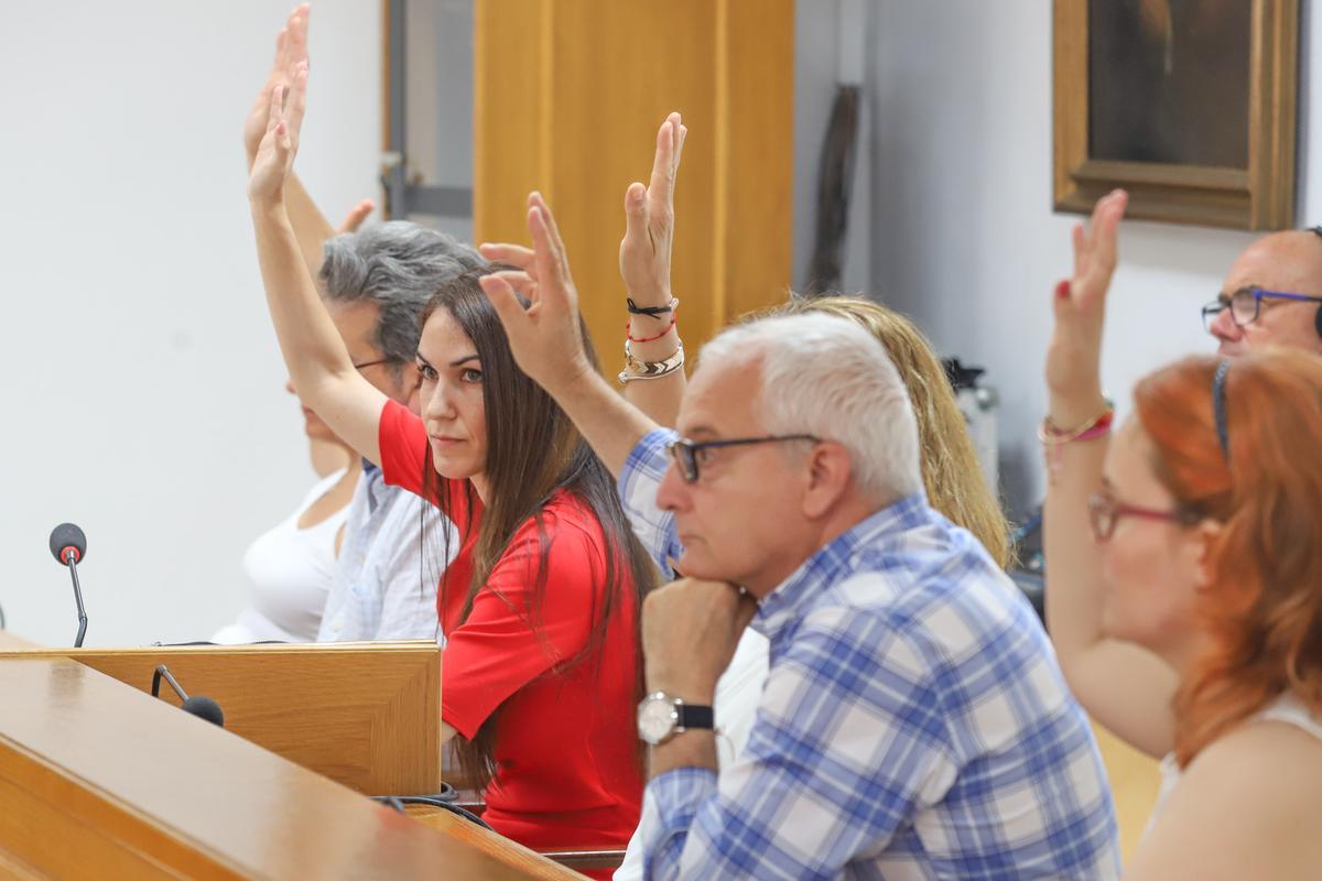 Filas de la oposición del PSOE en el pleno del Ayuntamiento de Torrevieja