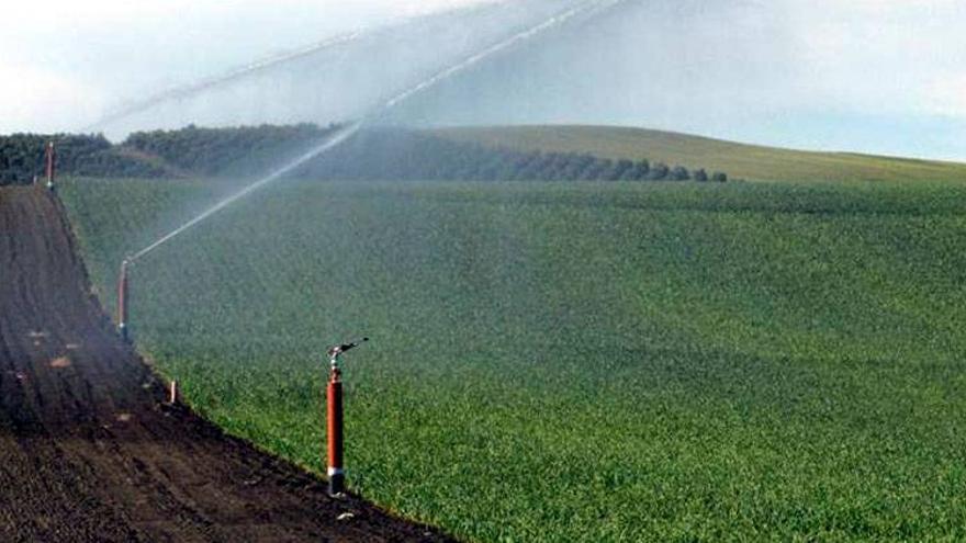 Los regantes critican que el ahorro de agua se prime con el &#039;tarifazo&#039;