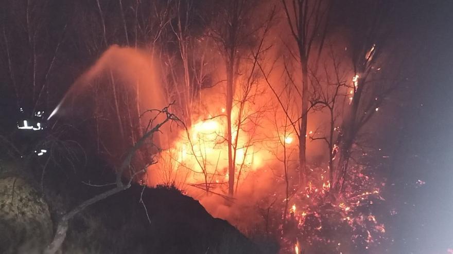 Los bomberos extinguen un incendio forestal en Bullas que llegó a cubrir unos 2.000 metros cuadrados