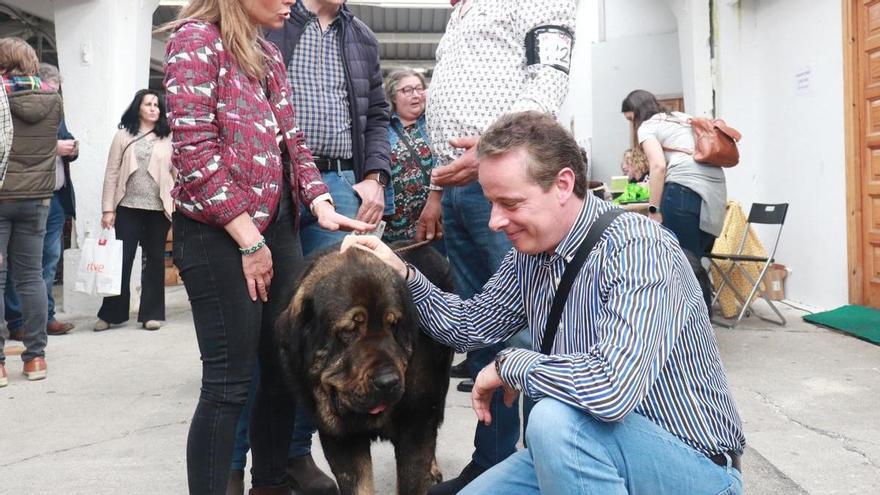 El Presidente de la Junta asiste a la Feria del Perro de Tineo