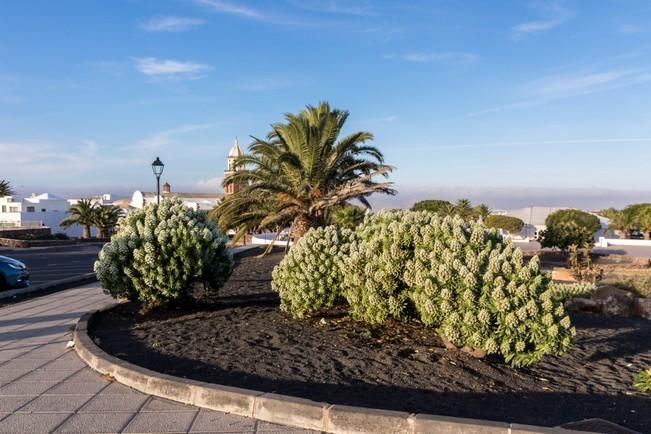 Un sábado en Teguise