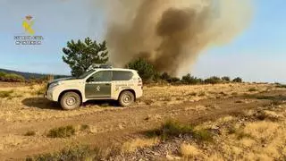 Un detenido y tres investigados por tres incendios forestales en la provincia de Cáceres