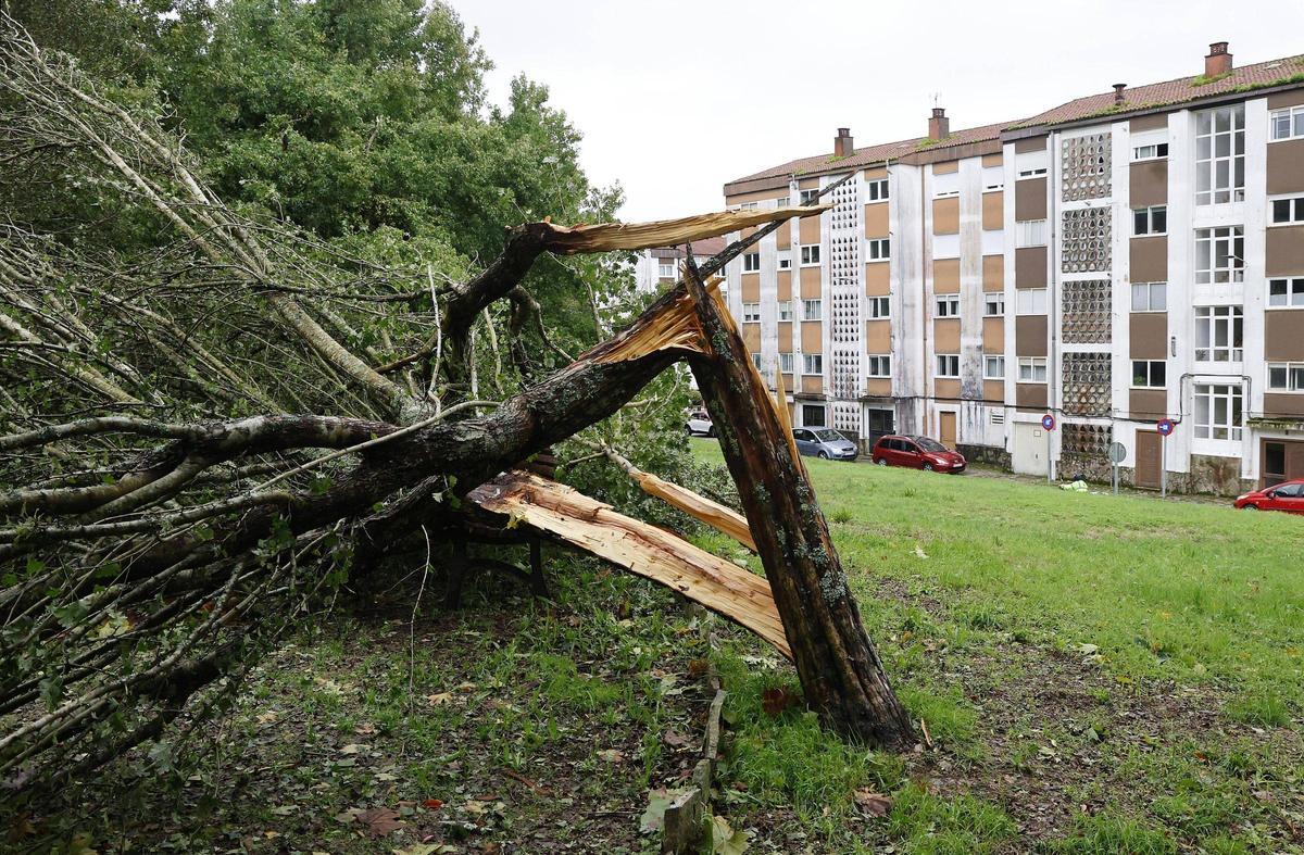 La intensa borrasca Kirk deja decenas de incidencias a su paso por Santiago