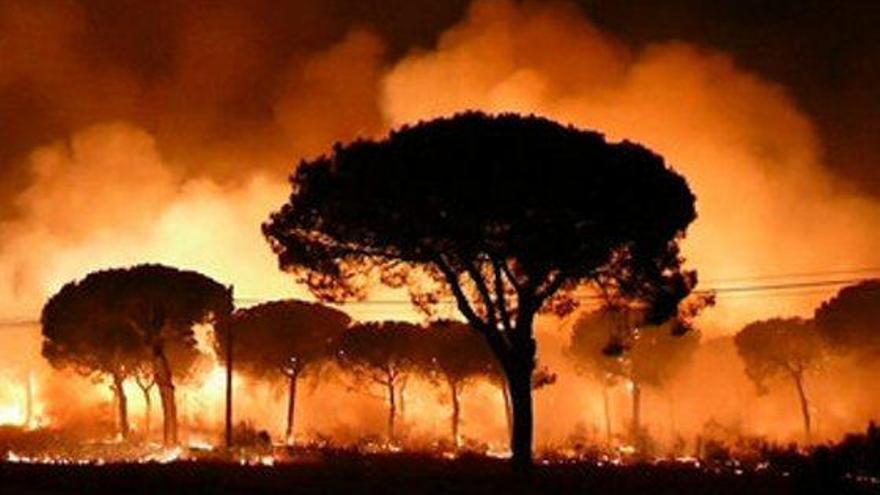 Un incendi obliga a desallotjar més de    2.000 persones i a tancar carreteres a Huelva