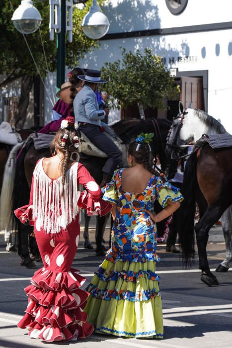 Primeros caballos en el Cortijo de Torres