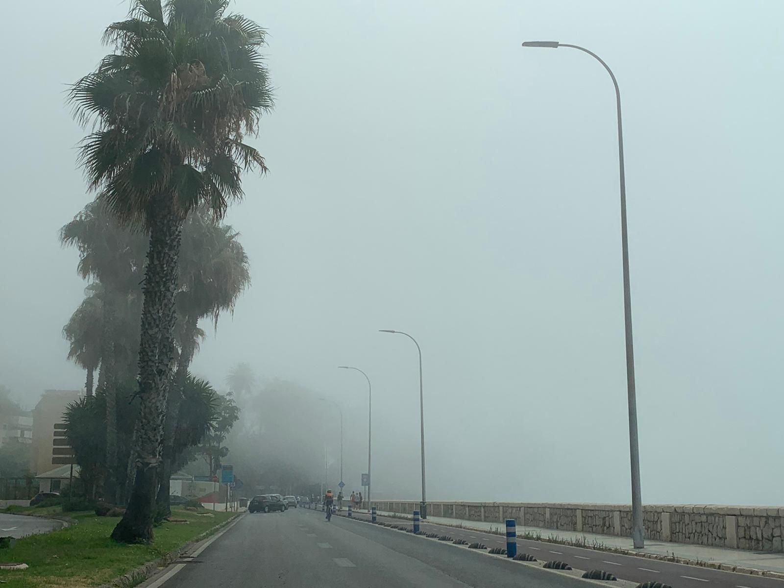 Domingo de taró en el litoral malagueño