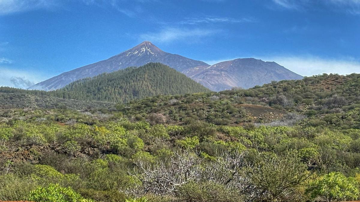 Parque Nacional del Teide