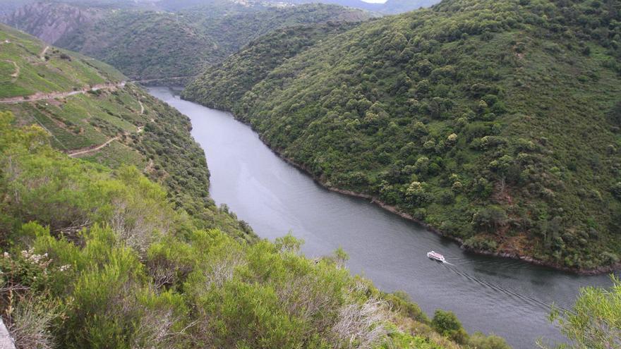 Otro Pokemon al cajón: el juez no ve trato de favor en la adjudicación del embarcadero de la Ribeira Sacra