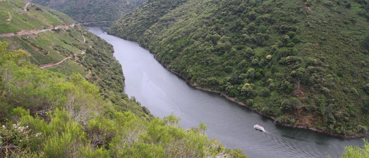 El catamarán de la Ribeira Sacra, en el Cañón del Sil.