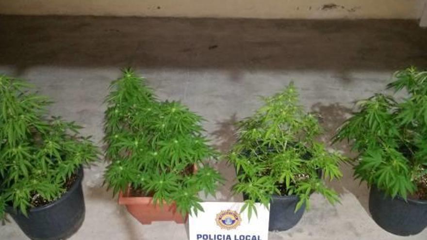 Hallan plantas de marihuana en un coche que iba a gran velocidad por Tavernes