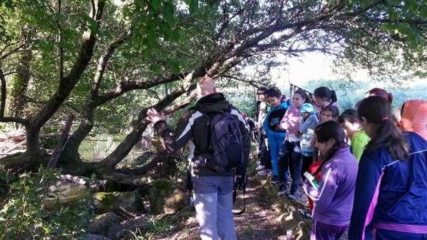 Un grupo de escolares conocen la vegetación del río Louro.