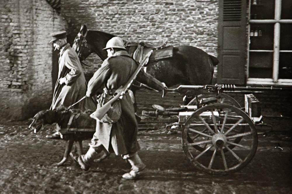 Un pero tira de una ametralladora belga en un pueblo al norte de Francia.