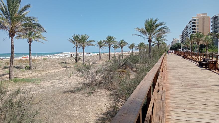 El PSOE de Oliva insiste que el paseo de madera sobre las dunas es viable