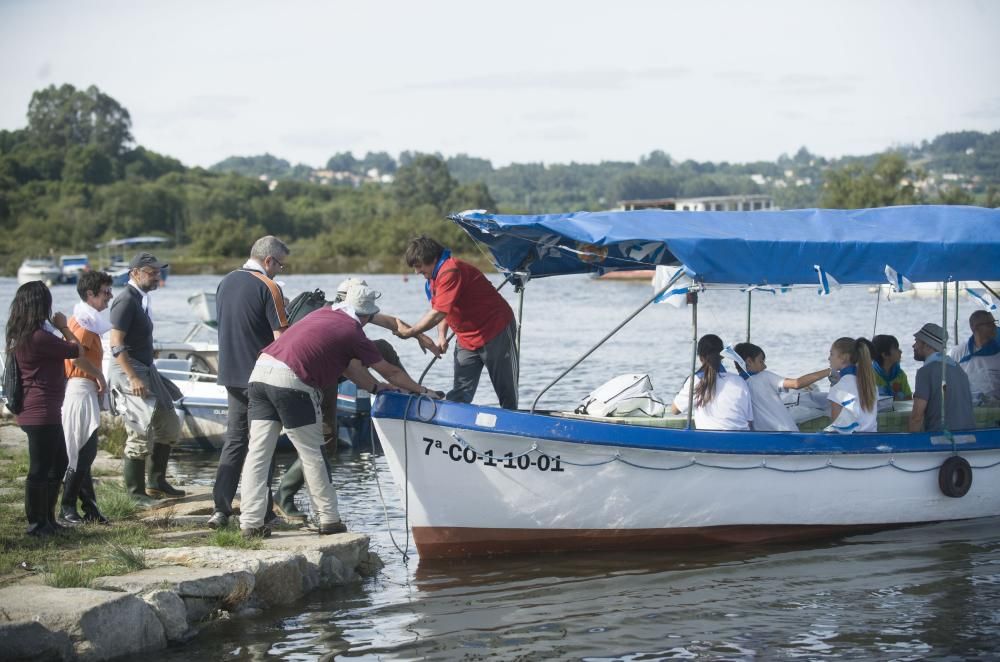 Ecoregata en Betanzos