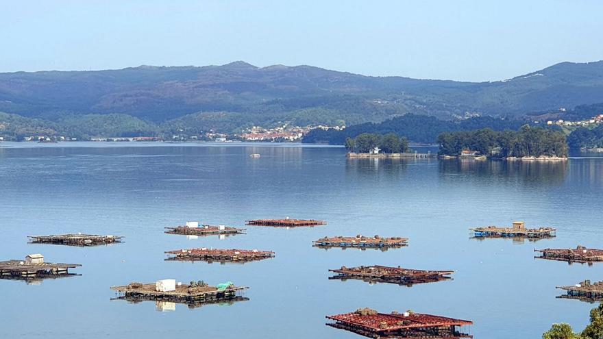 Galicia lidera la adaptación de la acuicultura europea al cambio climático con un proyecto de la UE