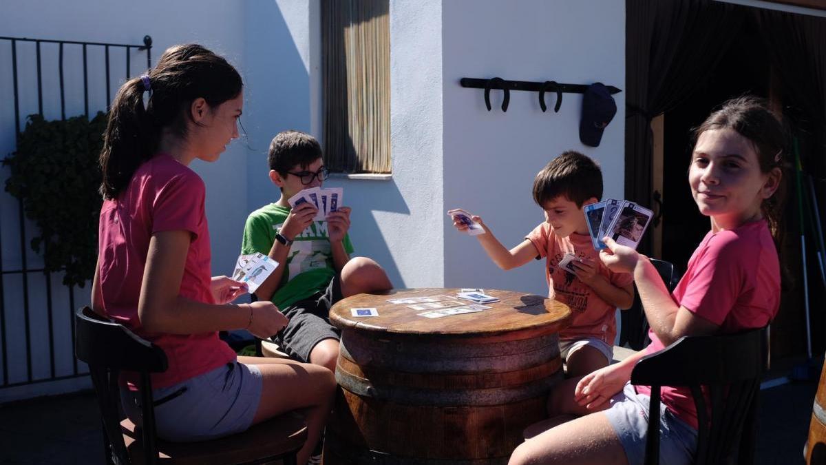 Las aves de la Vall d’Uixó, en baraja