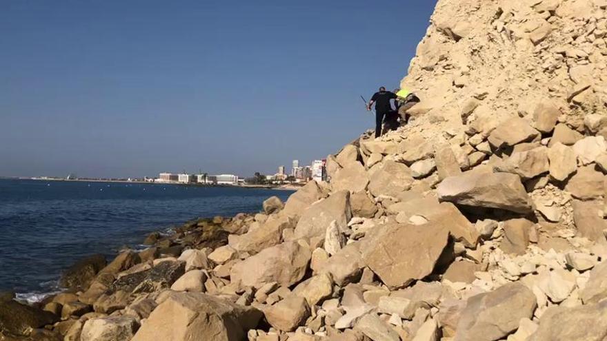 Rescatan a un zorro atrapado entre unas rocas en Alicante