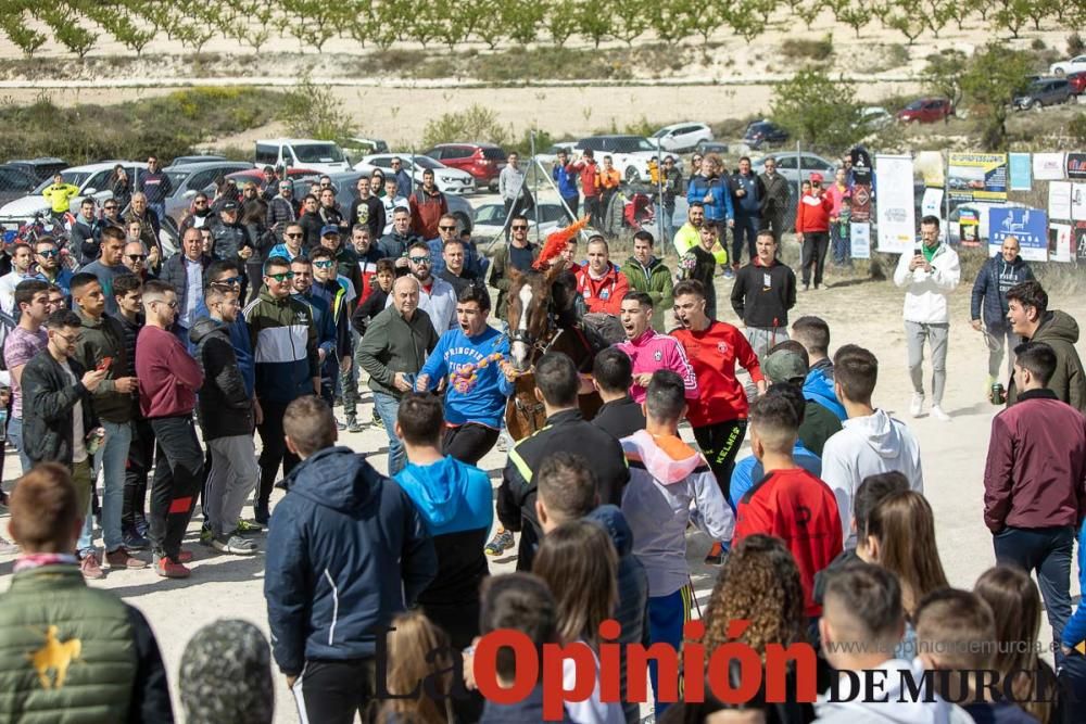 Carrera de entrenamiento de los Caballos del Vino