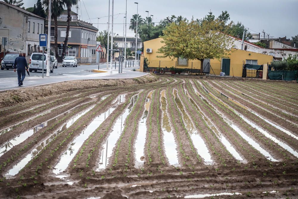 Las lluvias han dejado entre 15 y 30 litros por metro cuadrado en la Vega Baja