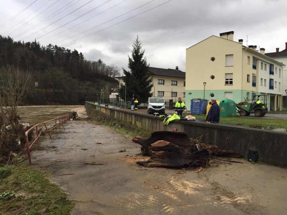 Operarios municipales del Ayuntamiento de Parres limpieza junto al río Sella