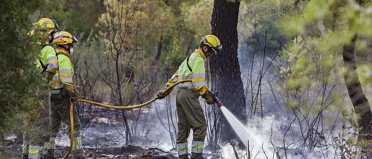 Bomberos en el incendio del área recreativa Pi d’Ambrosio en l’Énova en agosto de 2020. | PERALES IBORRA 