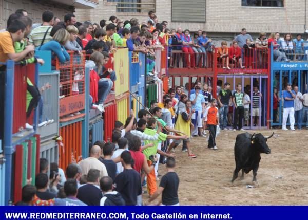 PRIMERA JORNADA DEL CONCURSO DE GANADERÍAS. LA VILAVELLA 2009.