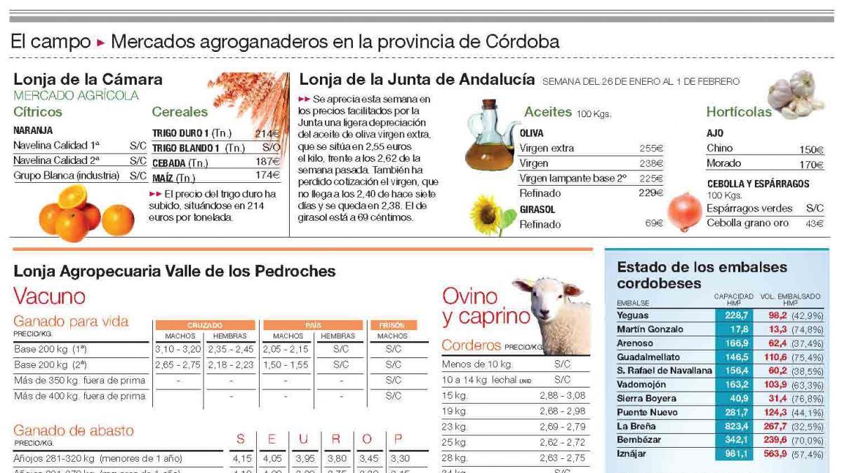 Primeros botones en las plantaciones de almendros