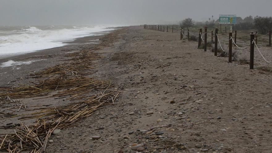 Compromís pide al ministerio que acelere en las playas de Sagunt