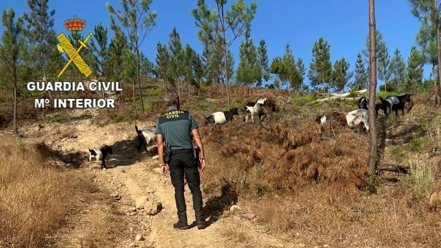 Rescatan del interior de una poza a un octogenario desaparecido en la Sierra de Jola