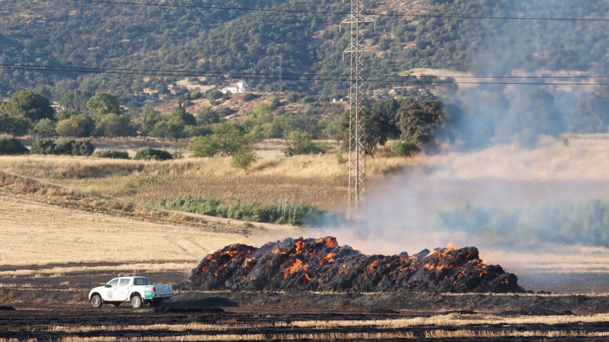 Un incendio de pastos entre Córdoba y Alcolea moviliza a todos los efectivos de los bomberos